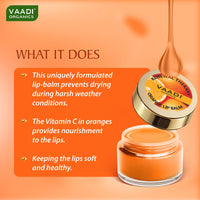 Vaadi Herbals Lip Balm, Orange and Shea Butter, 10gms x 8