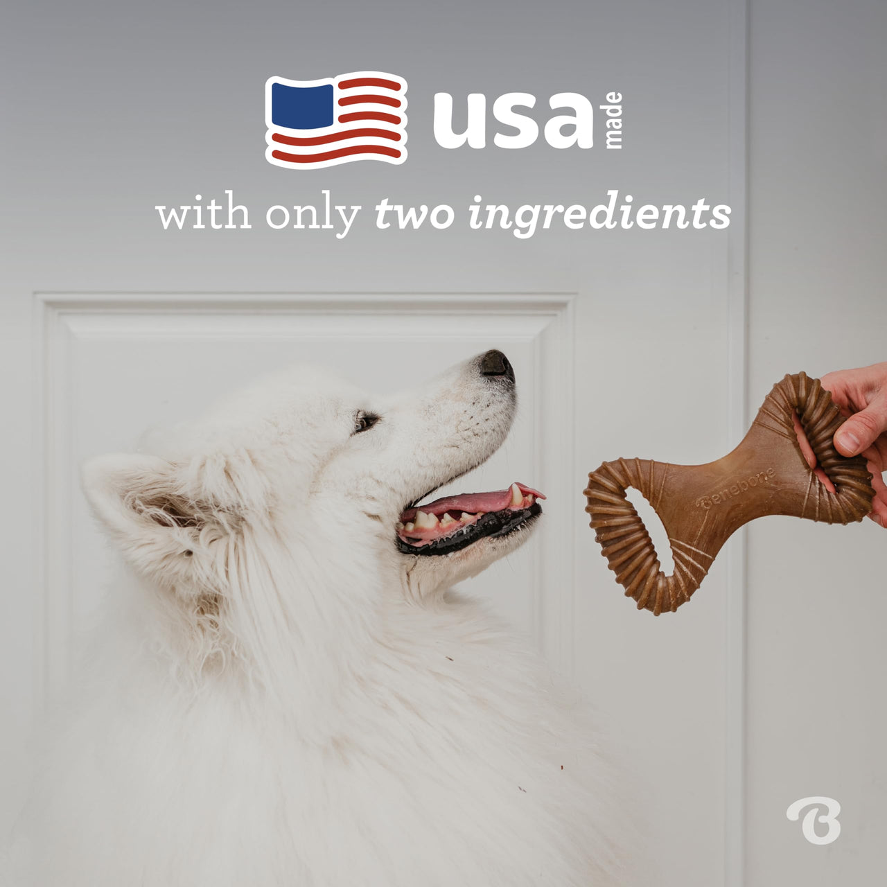 Benebone Dental Durable Dog Chew Toy for Aggressive Chewers, Real Bacon, Made in USA, Small