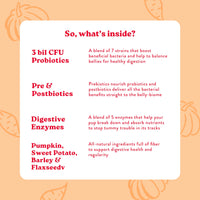 Bocce's  Bakery Probiotic Supplement for Dogs, Daily Chews, Made in The USA with with 7 Strains of Probiotics, Supports Digestion, Pumpkin & Sweet Potato, 60 ct, Orange (DG-SP-PRO60)