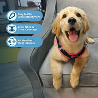 Voyager Step-in Air Dog Harness - All Weather Mesh Step in Vest Harness for Small and Medium Dogs by Best Pet Supplies - Pink Trim, S Harness (Black/Pink Trim) S (Chest: 14.5 - 16