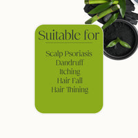 VEDICDERM Plasma Bamboo Charcoal Shampoo 200ml | Clinically Proven For Scalp Psoriasis, Dandruff & Sensitivity | Relieves Itching, Flaking & Dryness | SLS, Paraben & Irritants Free|Daily Hair Cleanser