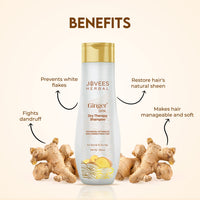 Jovees Herbal Ginger Spa Dry Therapy Shampoo | Nourishes, Detangles and Strengthens Hair | For Normal to Dry Hair 300ml