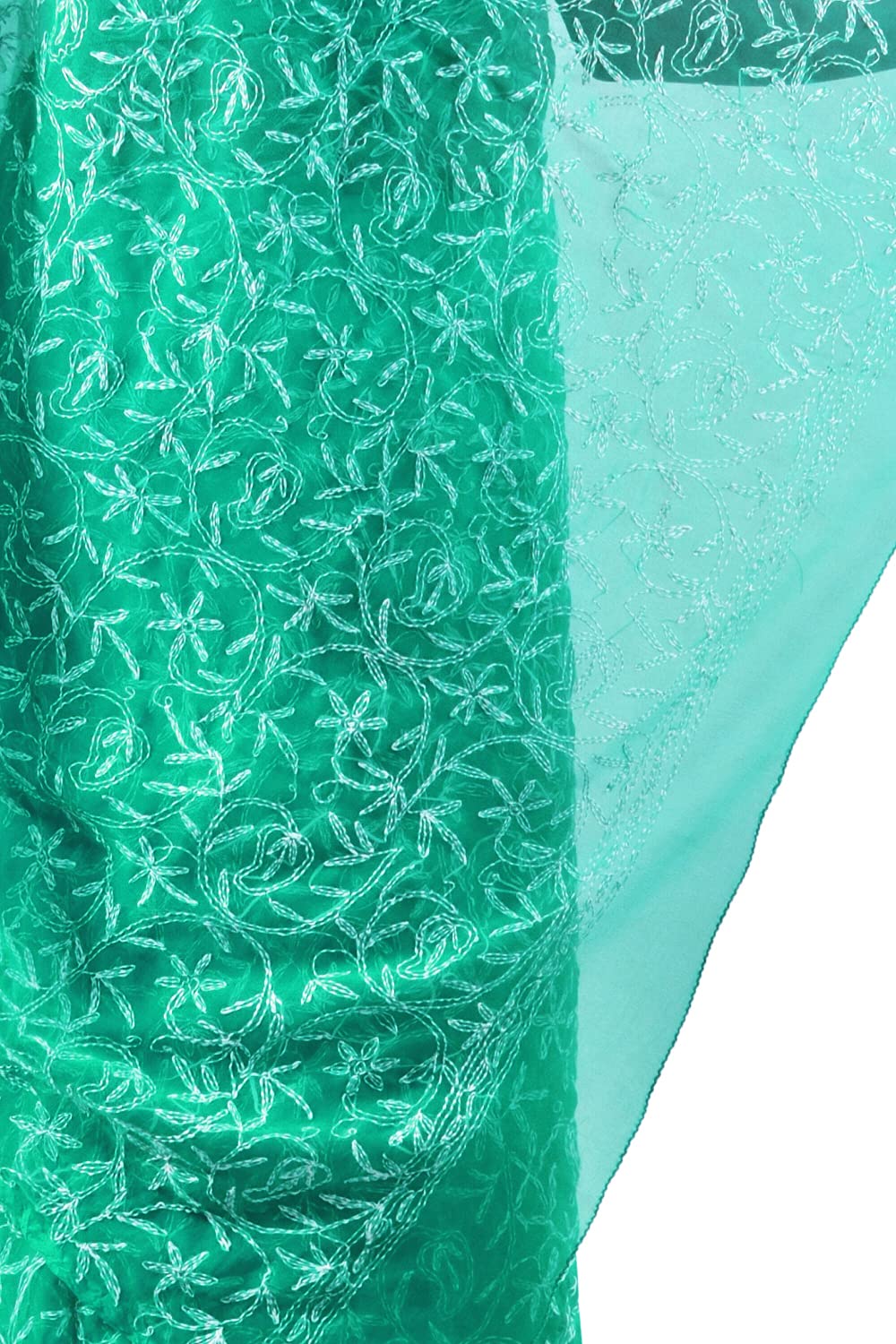 Lavangi Women's  Lucknow Chikankari Tepchi Work Georgette Saree