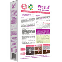 Vegetal Bio Colour Natural Hair Colour for Men, Soft Black, PPD-free, Semi-Permanent, Safe for Beard and Moustache 25g. (Pack of 2)