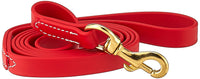 J&J Dog Supplies Biothane Dog Leash, 3/4