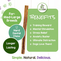 Nature Gnaws Bully Sticks for Large Dogs - Premium Natural Beef Dental Bones - Thick Long Lasting Dog Chew Treats for Aggressive Chewers - Rawhide Free , 5 Count (Pack of 1) 5 Count (Pack of 1)