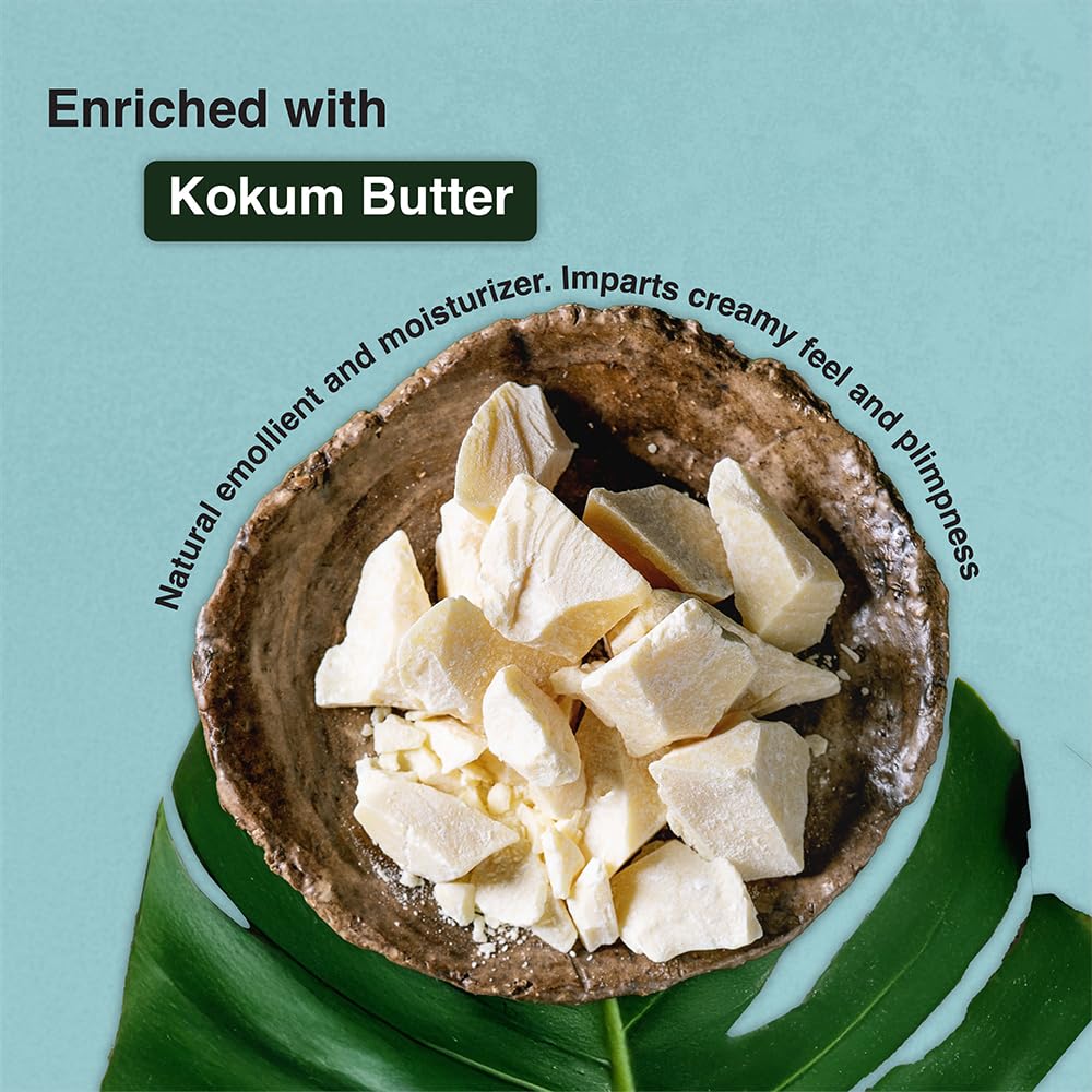 Dazller Lip Colour Lipstick Combo Pack of 6|Vibrant Matte Liquid Lipstick for Women|Long Stay|Smudge-Proof|Non-Transfer|Pink Punch|21.6g