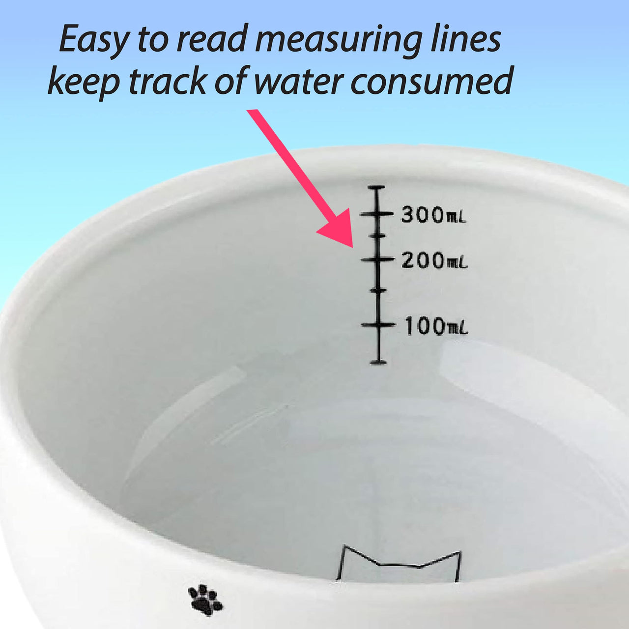 Necoichi Raised Cat Water Bowl, Elevated, with Measurement Lines, Dishwasher and Microwave Safe, No.1 Seller in Japan! (Cat, Regular)