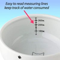 Necoichi Raised Cat Water Bowl, Elevated, with Measurement Lines, Dishwasher and Microwave Safe, No.1 Seller in Japan! (Cat, Regular)