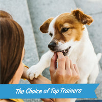 Pet Botanics 12 oz. Pouch Training Rewards Jerky Bites, Chicken Recipe, with 225 Treats Per Bag, The Choice of Top Trainers