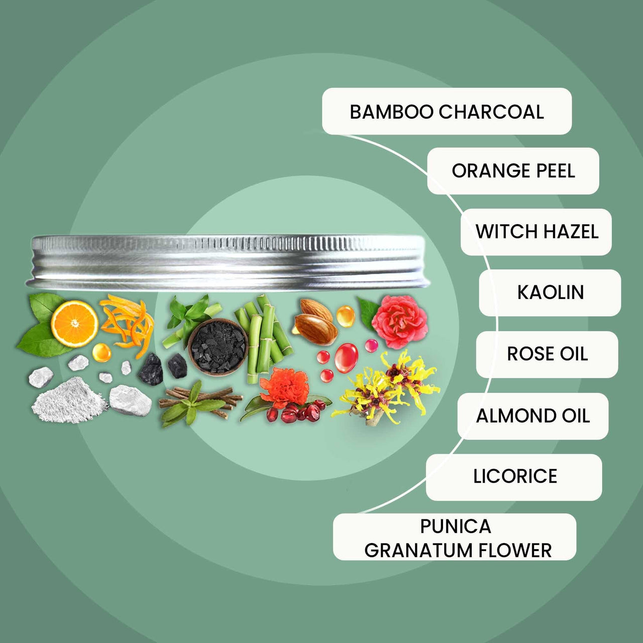 WildOak Activated Charcoal Clay Face Mask | Removes Excess Oil & Detox | De-Tan & Anti-Acne | Fights Pigmentation, Wrinkles & Blackheads | Skin Brightening Face Pack | 100g