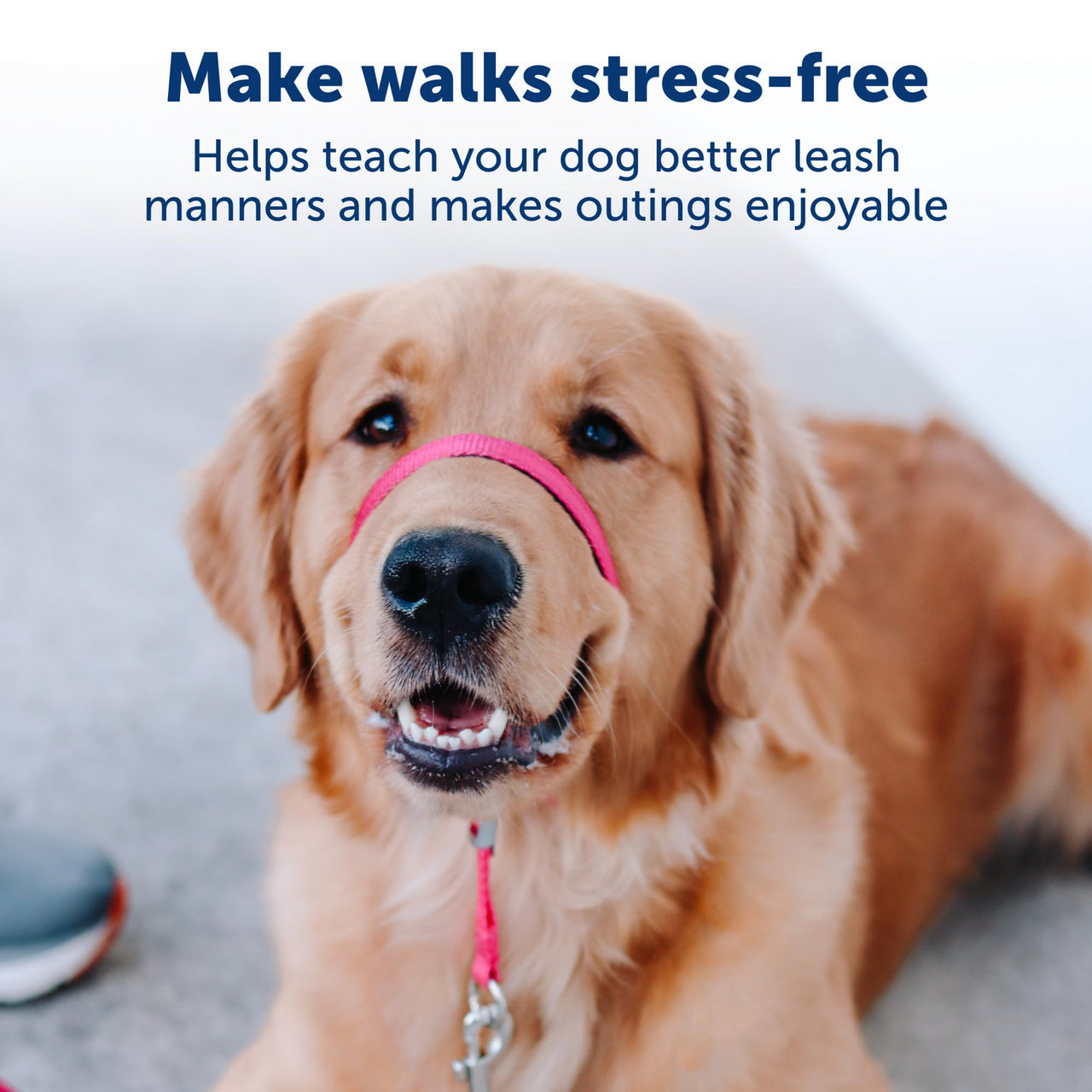 PetSafe Gentle Leader No-Pull Dog Headcollar - The Ultimate Solution to Pulling - Redirects Your Dog's  Pulling for Easier Walks - Helps You Regain Control - Small, Charcoal Grey, Charcoal