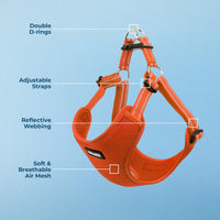 Best Pet Supplies Voyager Adjustable Dog Harness with Reflective Stripes for Walking, Jogging, Heavy-Duty Full Body No Pull Vest with Leash D-Ring, Breathable All-Weather - Harness (Orange), M Harness (Orange) M (Chest: 17 - 21