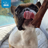 GigaBite 6 Inch Beef Gullet Jerky Strips (25 Pack) - All Natural, Free Range Beef Esophagus Taffy Dog Treat by Best Pet Supplies 6-Inch / 25 pcs Esophagus Strips