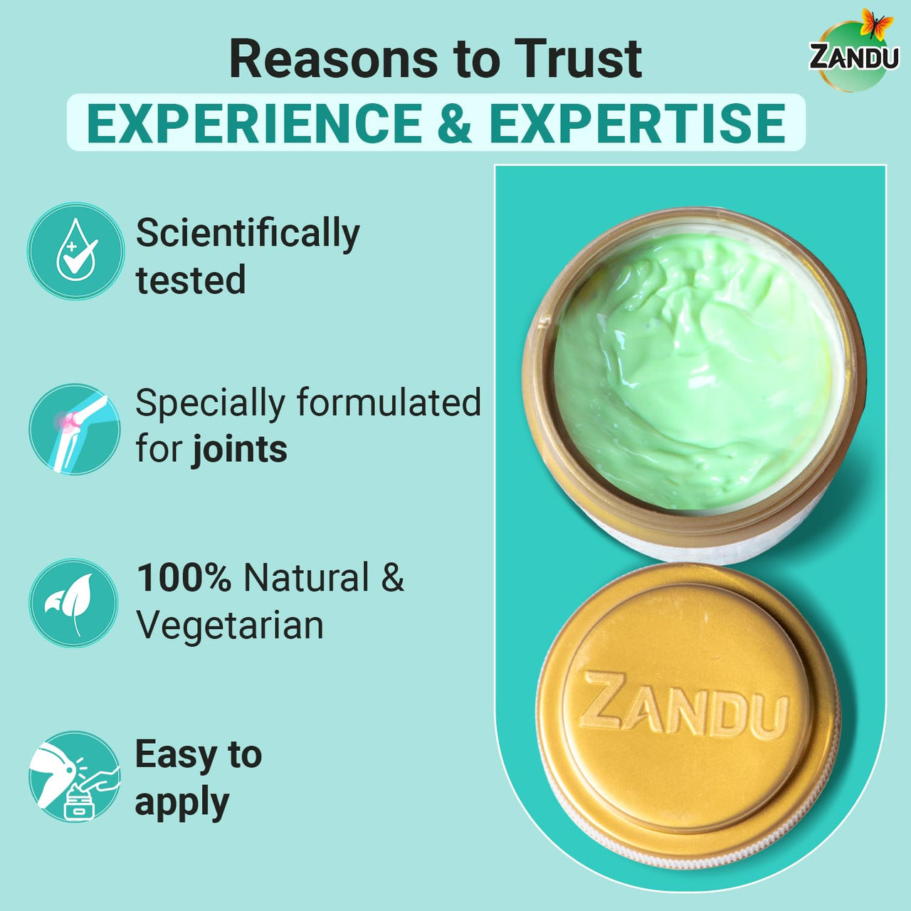 Zandu Seniorz Complete Joint Expert Lepa, 90g, Helps reduce muscular & joint pain, Increase Joint Flexibility & Reduce Joint Stiffness, 100% Ayurvedic & Natural Balm