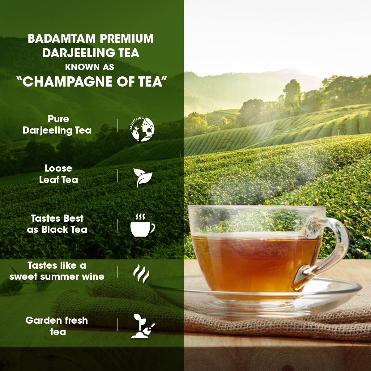 GOODRICKE Badamtam Darjeeling Tea - 250 Gm|100% Pure And Organic Premium Whole Leaf|Single Estate|Black Tea|Sweet Lasting Aftertaste - Loose Leaves