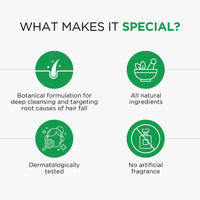 Oshea Herbals Amlacare Hairfall Control Shampoo for Men & Women | Strengthens Hair, Reduces Hairfall & Dandruff | Enriched with Aloe Vera & Amla Extracts - 300 ml (Pack of 2)