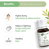 Naturalis Tea Tree Oil - Tea Tree Oil for Acne, Pimples and Scar - Pure and No Dilution Tea Tree Hair Oil - No Solvents - Ideal for Aromatherapy - 10ml