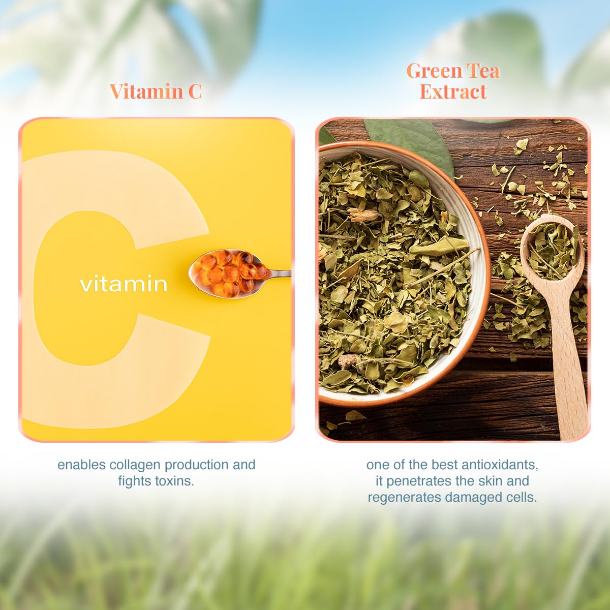 VLCC Vitamin C Day Cream SPF 30-50g - Protects, Boost Collagen, and Brightens Skin | With 15% Vitamin C, Vitamin E, Green Tea, and Mulberry Extracts.