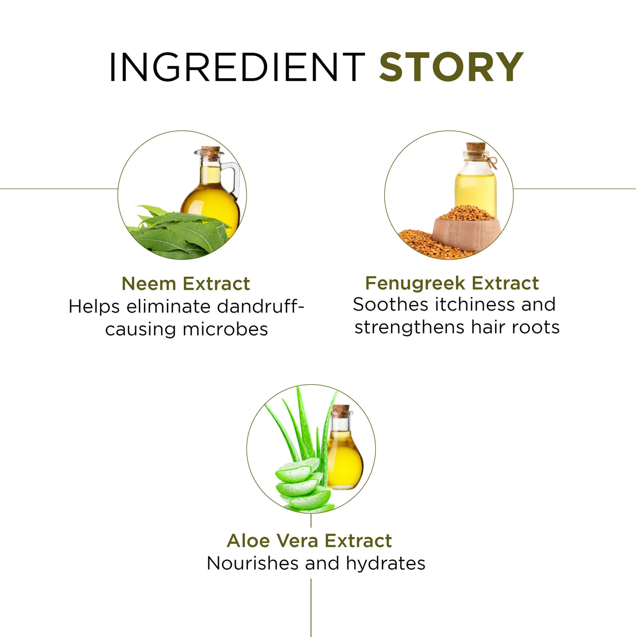 Oshea Herbals Neemclean Anti Dandruff Shampoo for Men & Women | Controls Dandruff, Deep Cleansing with Healthy & Itch Free Scalp | Enriched with Neem & Fenugreek | Paraben & Silicon Free 300ml