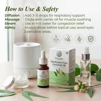 Zenaum Essences 100% Natural Eucalyptus Therapeutic Grade Essential Oil | 30ml (Pack of 2) | Respiratory Relief, Muscle Soothing & Aromatherapy | Sourced from Yunan, India | GMP, ISO & IFRA Certified