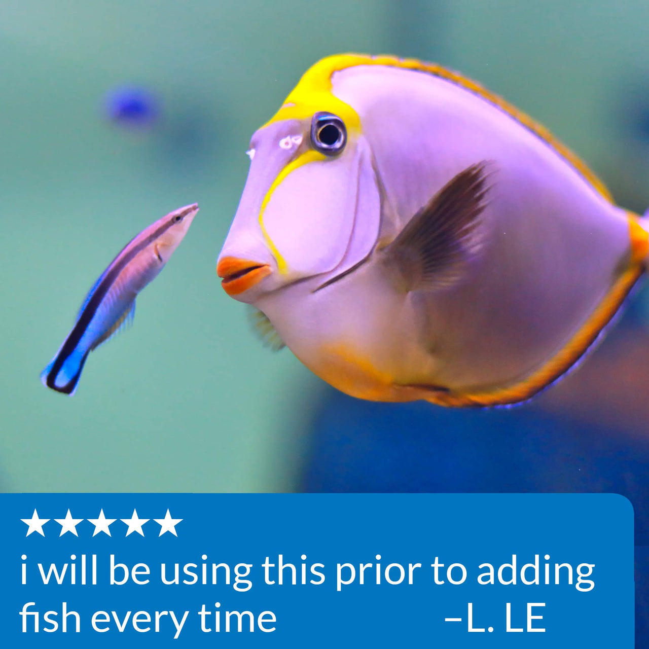 MARINE STRESS COAT Saltwater Aquarium Water Conditioner 16-Ounce Bottle (385D)