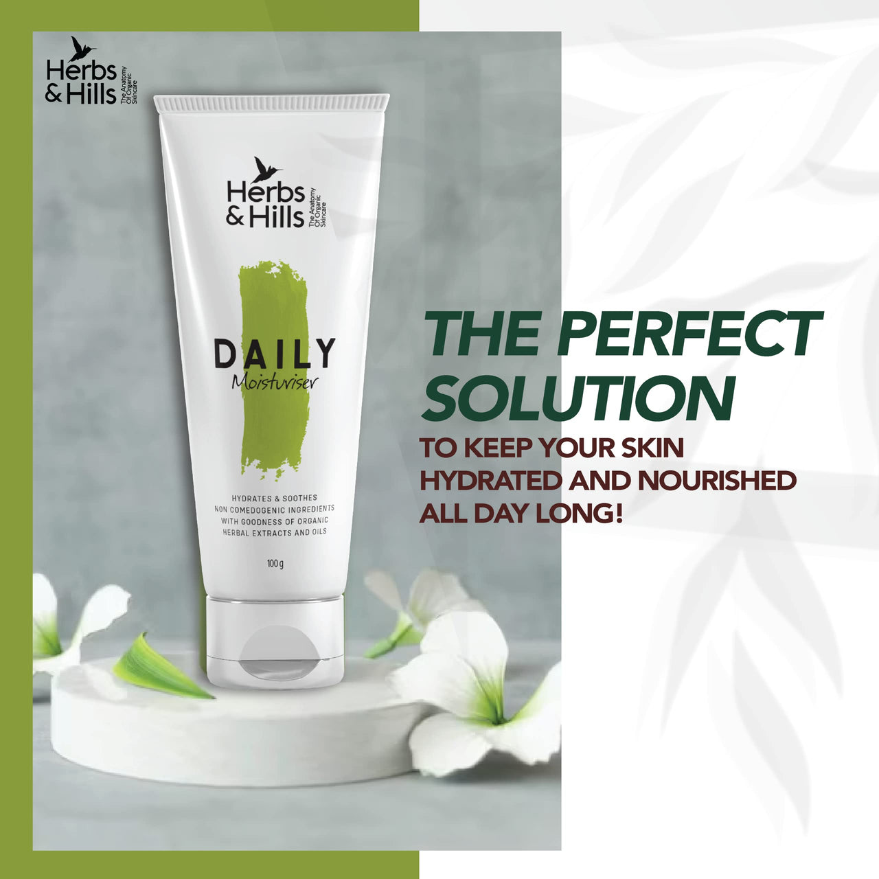 Herbs & Hills Daily Moisturizer Cream - 100g For All Skin Types with Almond, Olive, Avocado Oil, Keep Skin Soft, Hydrated & Supple, Remove Puffiness, Prevent UV Damage, Improve Skin Health
