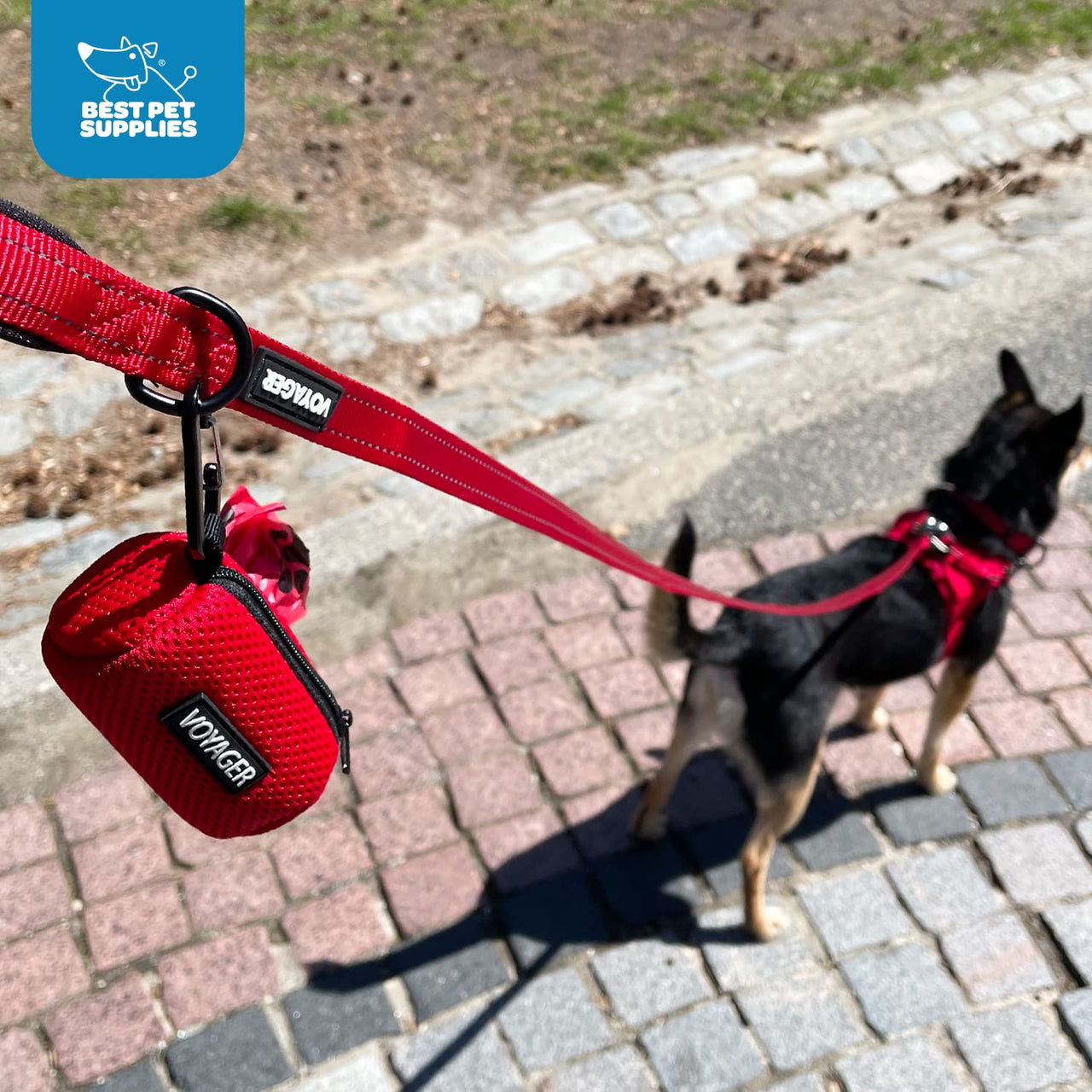 Best Pet Supplies 2-Pack Dog Poop Bag Holder Leash Attachment, Color, Reusable Mesh Dispenser Pouch for Travel, Walking, Park, and Outdoor Use, Soft and Durable with Clip-On - Mesh Royal Blue