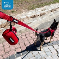Best Pet Supplies 2-Pack Dog Poop Bag Holder Leash Attachment, Color, Reusable Mesh Dispenser Pouch for Travel, Walking, Park, and Outdoor Use, Soft and Durable with Clip-On - Mesh Royal Blue