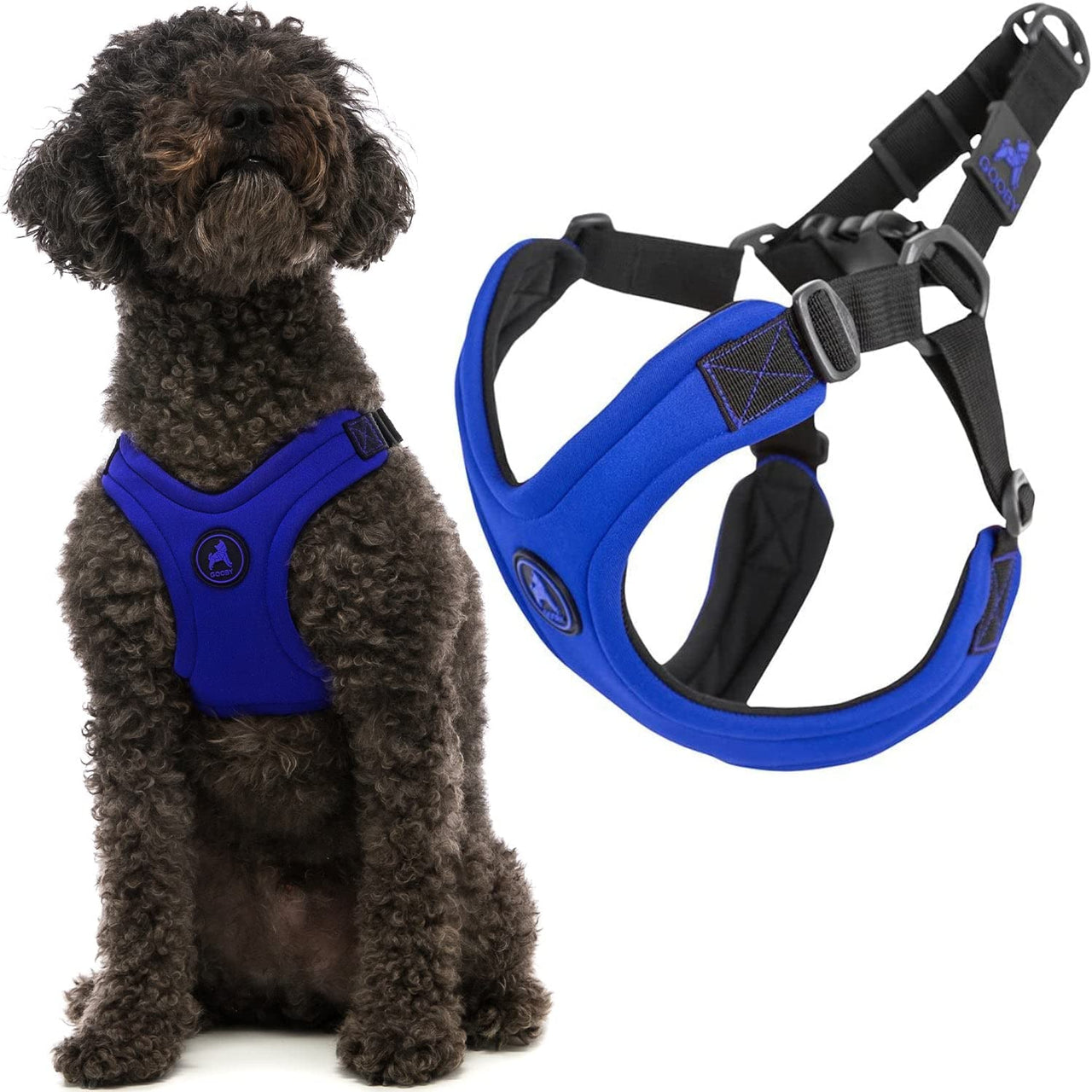 Gooby Escape Free Sport Harness - Blue, Large - No Choke Step-in Patented Neoprene Small Dog Harness with Four-Point Adjustment - Perfect on The Go Dog Harness for Medium Dogs No Pull and Small Dogs Large chest (16-24.25")