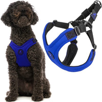 Gooby Escape Free Sport Harness - Blue, Large - No Choke Step-in Patented Neoprene Small Dog Harness with Four-Point Adjustment - Perfect on The Go Dog Harness for Medium Dogs No Pull and Small Dogs Large chest (16-24.25