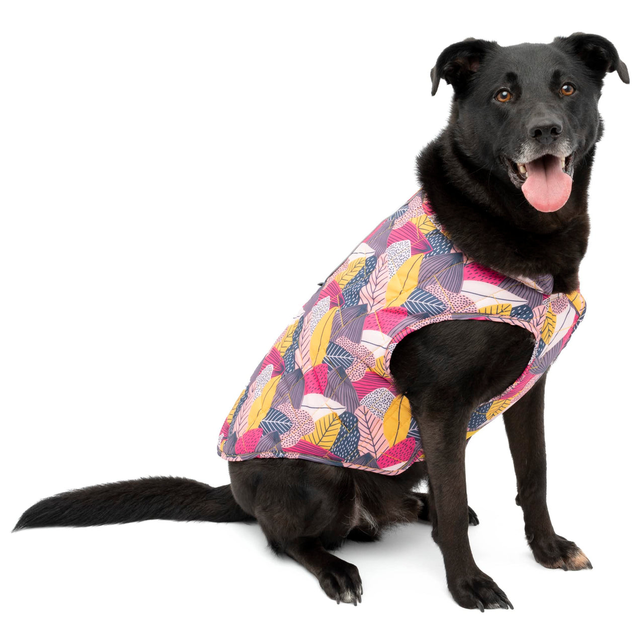 Kurgo Loft Dog Jacket, Reversible Dog Coat, Wear with Harness or Sweater, Water Resistant, Reflective, Winter Coat For Large Dogs (Fall Festival, L) Fall Festival