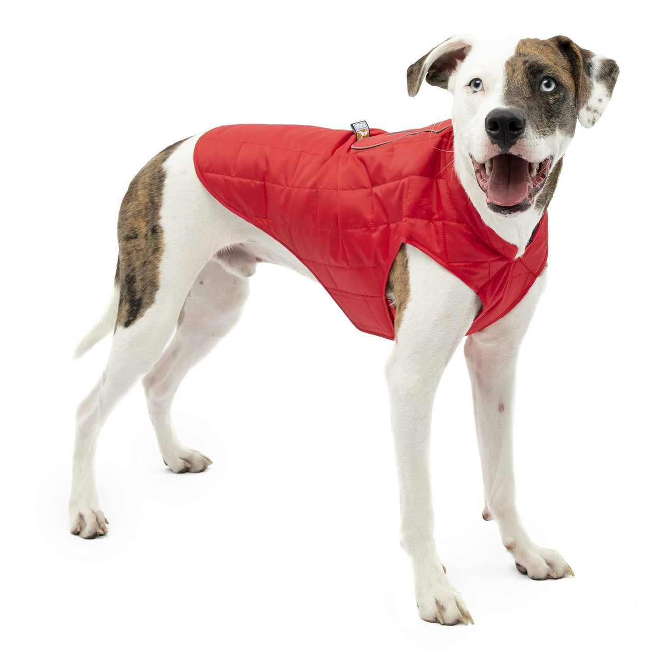 Kurgo Loft Dog Jacket, Reversible Dog Coat, Wear with Harness or Sweater, Water Resistant, Reflective, Winter Coat For Small Dogs (Chili Red, S) Chili Red/Charcoal
