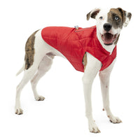 Kurgo Loft Dog Jacket, Reversible Dog Coat, Wear with Harness or Sweater, Water Resistant, Reflective, Winter Coat For Small Dogs (Chili Red, S) Chili Red/Charcoal