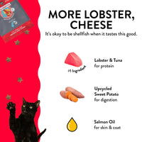 Shameless Pets Crunchy Cat Treats - with Digestive Support, Natural Ingredients Kitten Treats with Real Tuna, Healthy Flavored Feline Snacks - Lobster & Cheese, 3-Pk, Packaging May Vary More Lobster, Cheese 7.5 Ounce (Pack of 1)