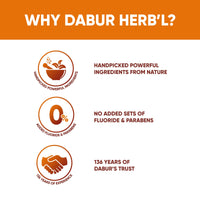 Dabur Herb'l Clove 300g (200g + 100g) - Cavity Protection Toothpaste with No added Fluoride and Parabens