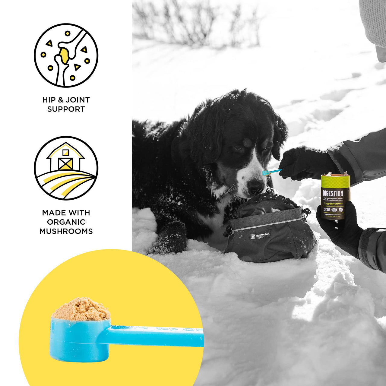 BIXBI Dog & Cat Joint Support, 2.12 oz (60 g) - All Natural Organic Pet Superfood - Daily Mushroom Powder Supplement - USA Grown & USA Made - Veterinarian Recommended for Dogs & Cats