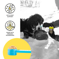 BIXBI Dog & Cat Joint Support, 2.12 oz (60 g) - All Natural Organic Pet Superfood - Daily Mushroom Powder Supplement - USA Grown & USA Made - Veterinarian Recommended for Dogs & Cats