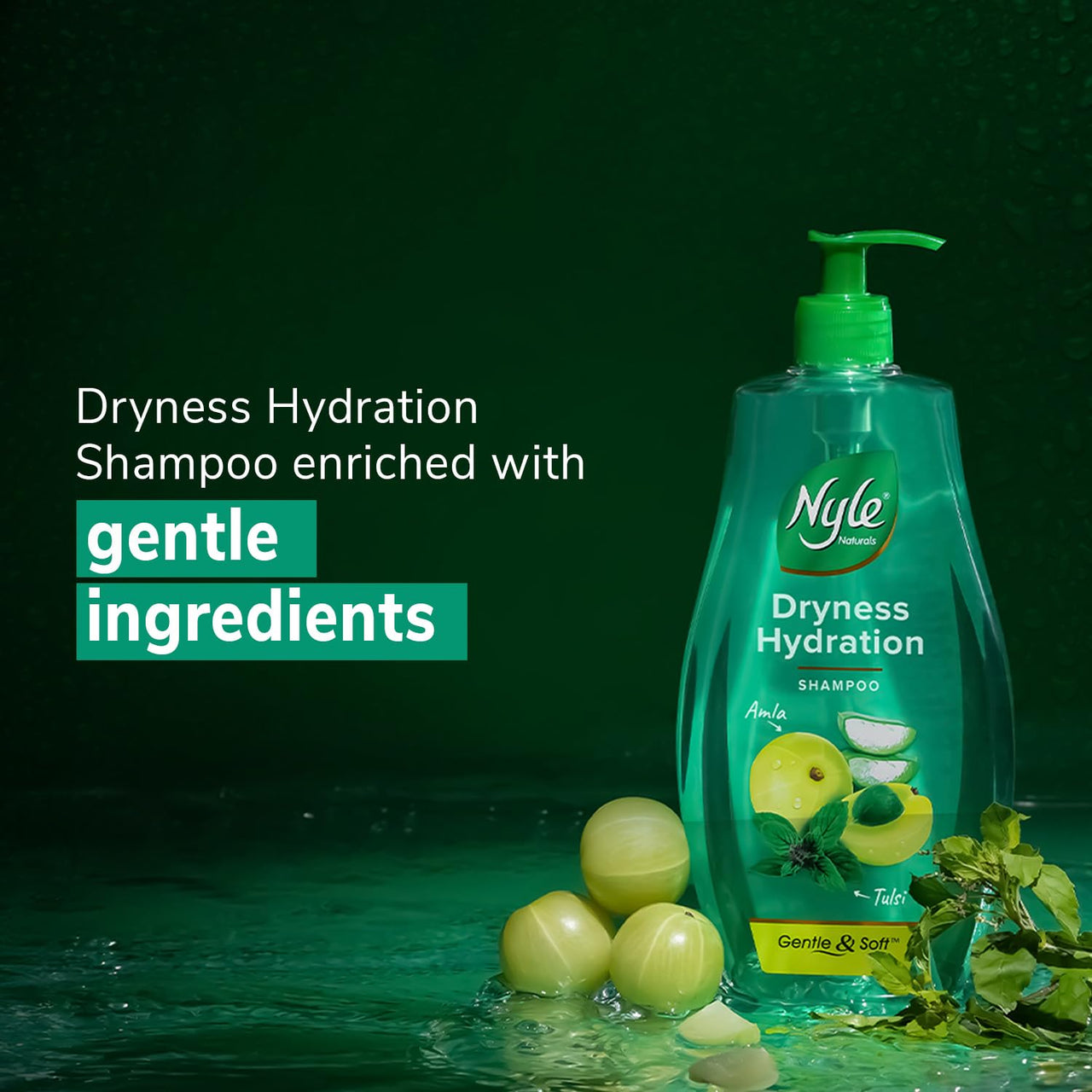 Nyle Naturals Dryness Hydration Shampoo, with Tulsi, Amla and Aloe Vera, Gentle & Soft Shampoo, pH Balanced and Paraben Free, For Men & Women, 800ml