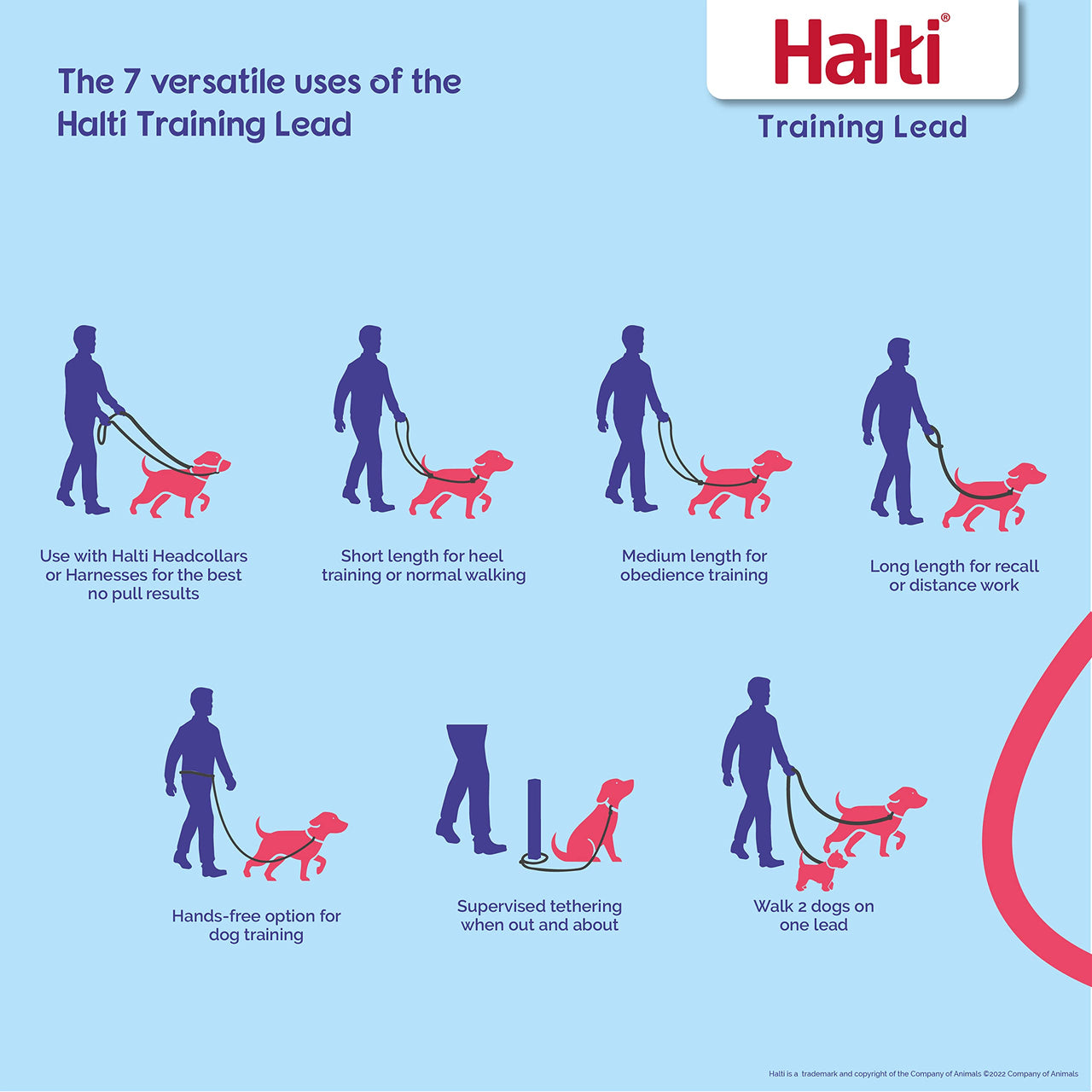 HALTI Training Leash - Multifunctional Double-Ended Dog Leash, Ideal for Anti-Pulling Dog Training. Lightweight & Durable. Suitable for Small to Medium Dogs & Puppies (Size Small, Cobalt Blue, 2m)
