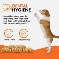 Canine Naturals Chicken Recipe Chew - Rawhide Free Dog Treats - Made from USA Raised Chicken - All-Natural and Easily Digestible - 2 Pack of 7 Inch Large Rolls for Dogs 50-75Lb 3.8 Ounce (Pack of 2)