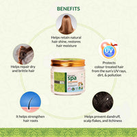 INDUS VALLEY 100% organic Deep Nourishing Hair (eaze) Spa