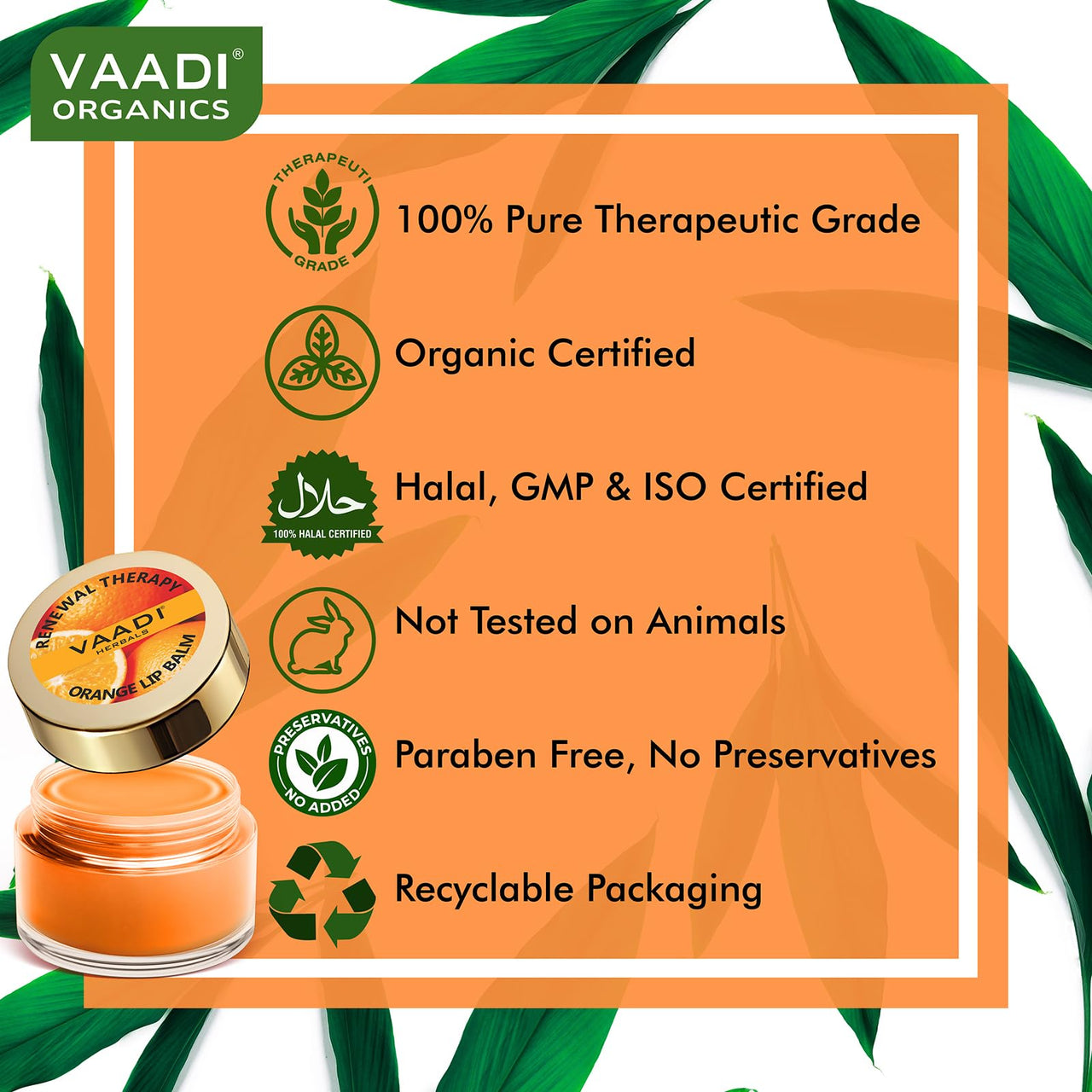 Vaadi Herbals Lip Balm, Orange and Shea Butter, 10gms x 8