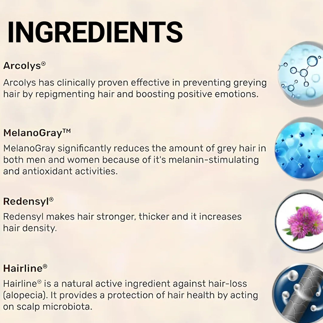 Yapidra Anti-Gray Hair & Beard Serum | Helps Reduce Graying | With Arcolys, Biotin | Lightweight, Non-Sticky & Fragrance-Free | Suitable for Men & Women | 30 ML