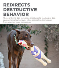 Outward Hound Squawkers Earl Latex Rubber Chicken Interactive Dog Toy, Large