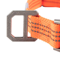 Carhartt Dog Collar Hunter Orange/Brushed Nickel Medium
