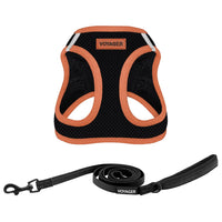Voyager Step-in Air All Weather Mesh Harness and Reflective Dog 5 ft Leash Combo with Neoprene Handle, for Small, Medium and Large Breed Puppies by Best Pet Supplies - Black, Large L (Chest: 18 - 20.5