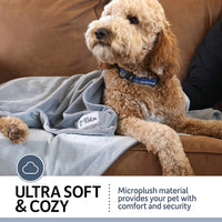 PetFusion Premium Dog Blanket, Cat Blanket | Ultra Soft Pet Blanket Available in Plush or Quilted, 2 Colors (Grey, Brown) | Perfect Blanket for Small Dogs & Large Dogs. 12 Month Warranty Small (31 x 27