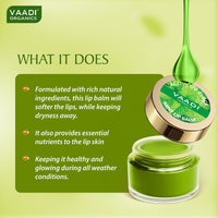 Vaadi Herbals Lip Balm, Mint, 10g