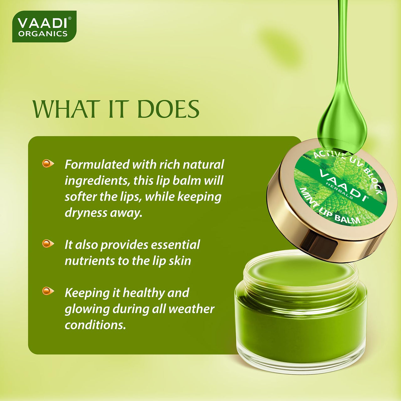 Vaadi Herbals Value Lip Balm, Mint, 4 x 10g